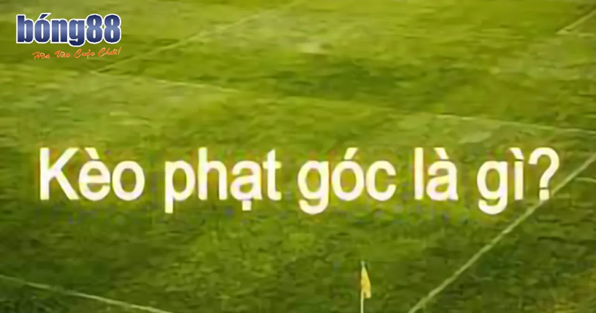Kèo Phạt Góc - Mẹo Hay Cá Cược Chính Xác Cho Game Thủ Khái quát dễ hiểu về kèo phạt góc
