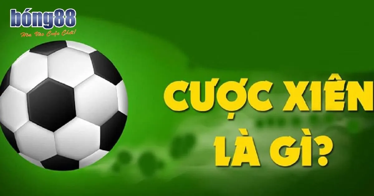 Hướng Dẫn Cách Soi Kèo Xiên Chuẩn Xác Từ A đến Z Cho Tân Thủ Bật mí một vài phương án soi cầu chuẩn xác