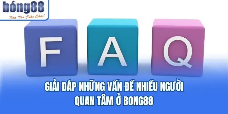 Bong88 spgn.nl 🎖️ Link Tải Bong88.Com Chính Thức 2026 Giải đáp những vấn đề nhiều người quan tâm ở Bong88